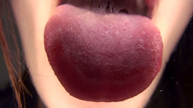 サンプル画像 16