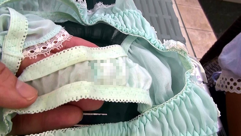 サンプル画像 11