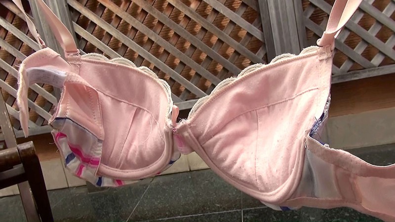 サンプル画像 11