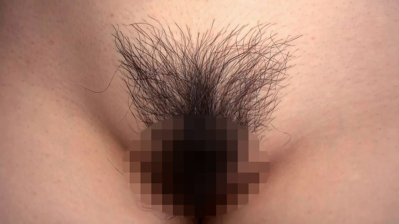 サンプル画像 18