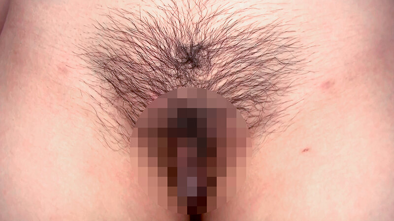 サンプル画像 13