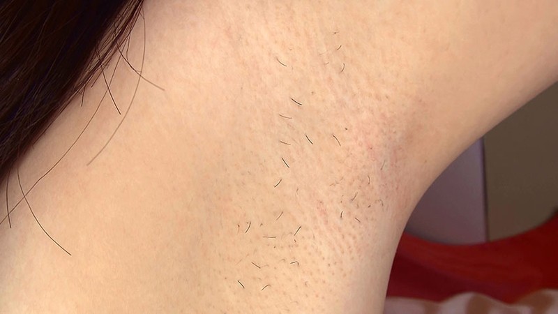 サンプル画像 3