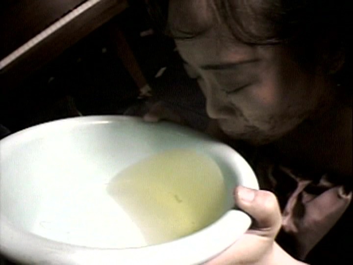 サンプル画像 13