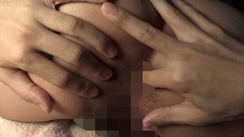 サンプル画像 13