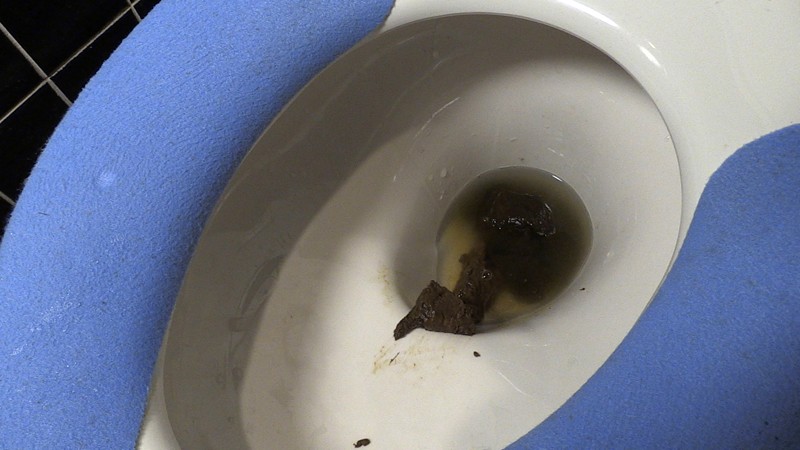 サンプル画像 8