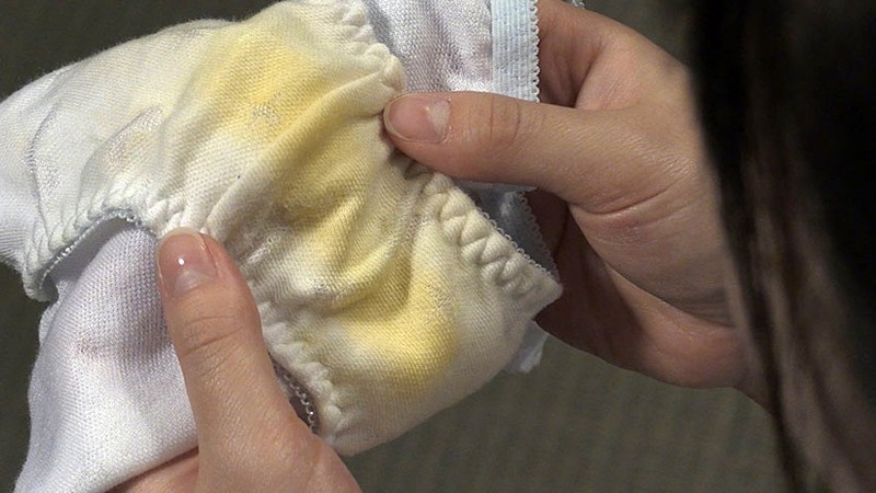 サンプル画像 5