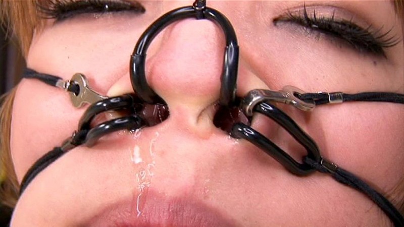 サンプル画像 8