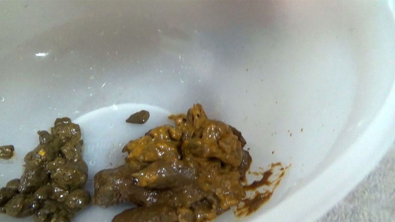 サンプル画像 16