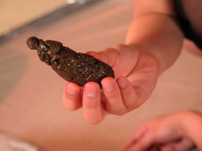 サンプル画像 10