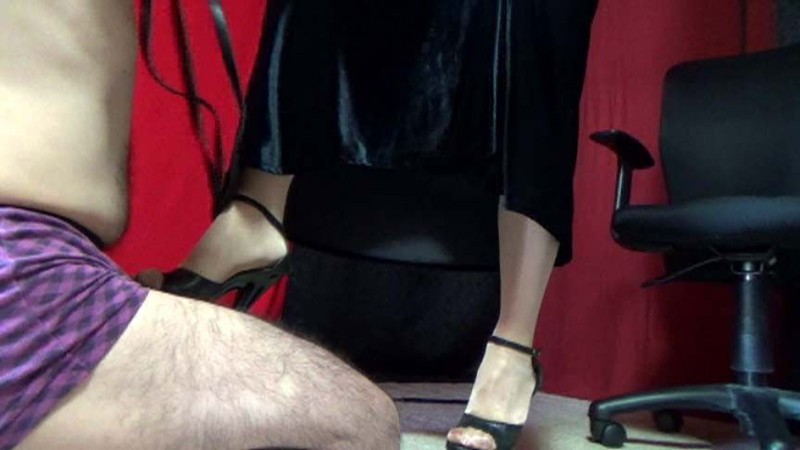 サンプル画像 8