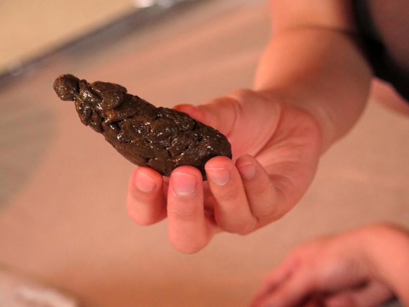 サンプル画像 6