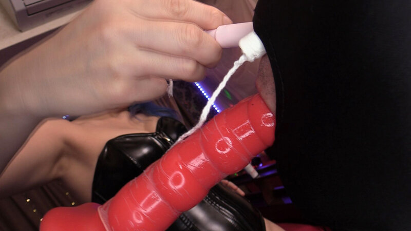 サンプル画像 11