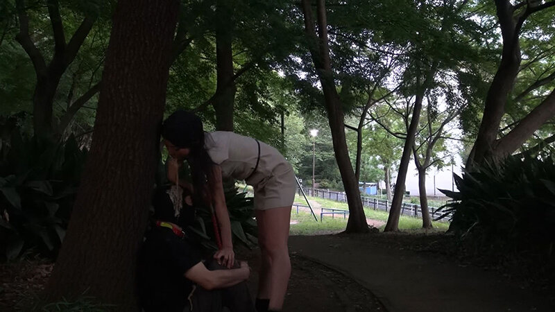 サンプル画像 19