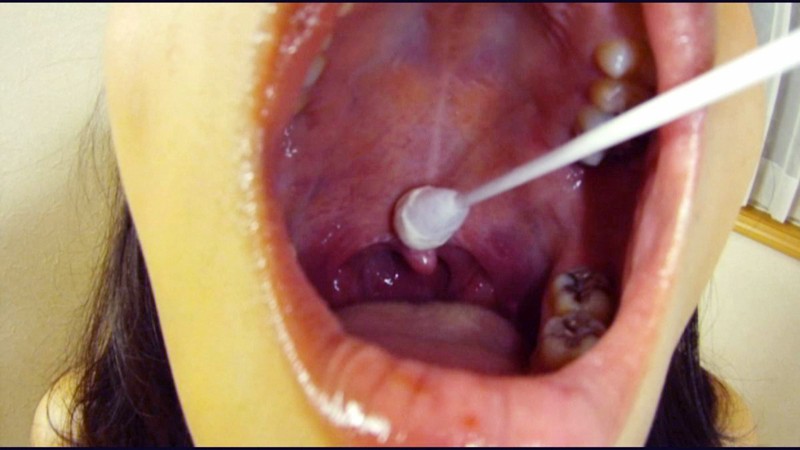 サンプル画像 20