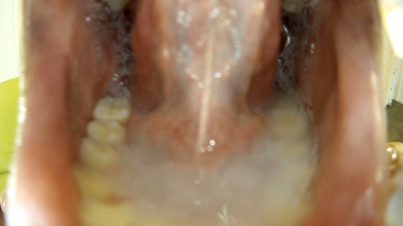 サンプル画像 14