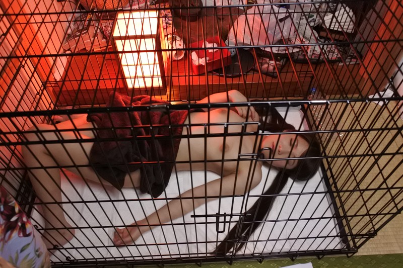 サンプル画像 5