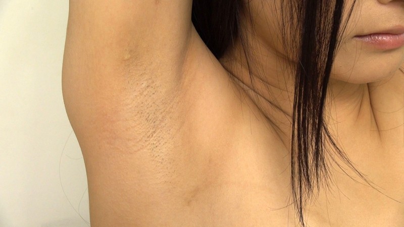 サンプル画像 3