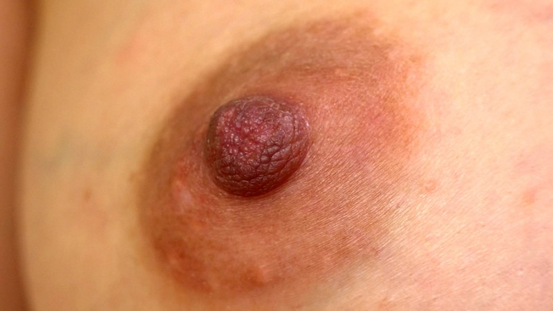 サンプル画像 20