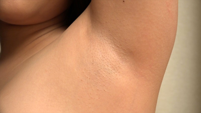 サンプル画像 8