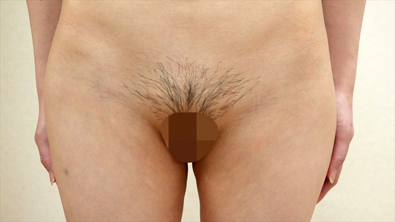 サンプル画像 13