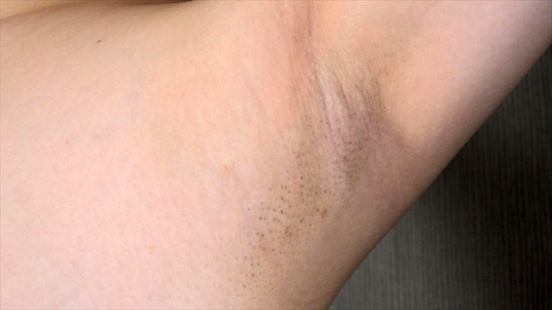 サンプル画像 14