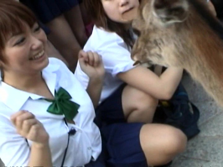 サンプル画像 13