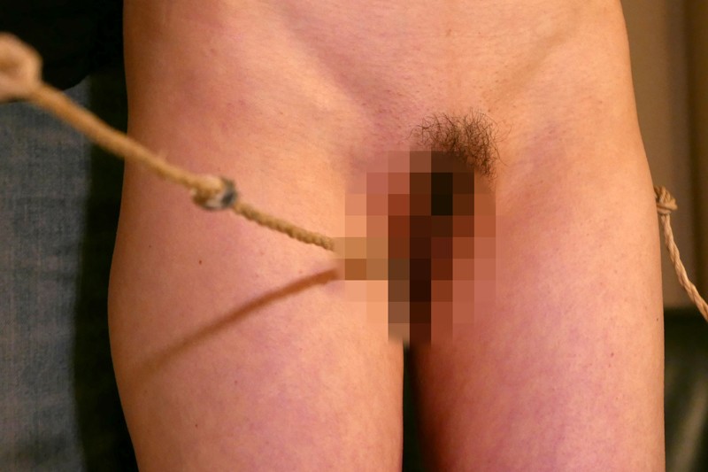 サンプル画像 9