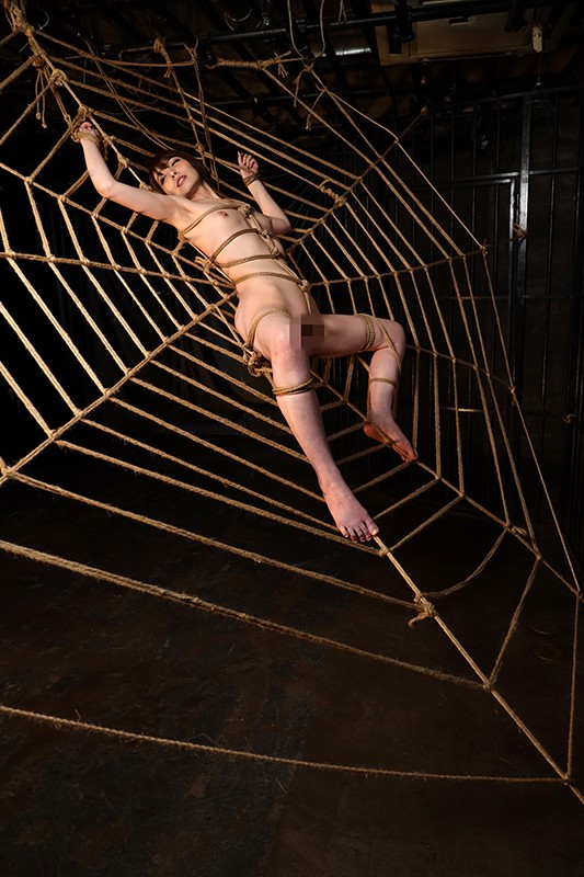 サンプル画像 13