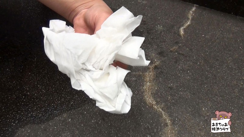 サンプル画像 4