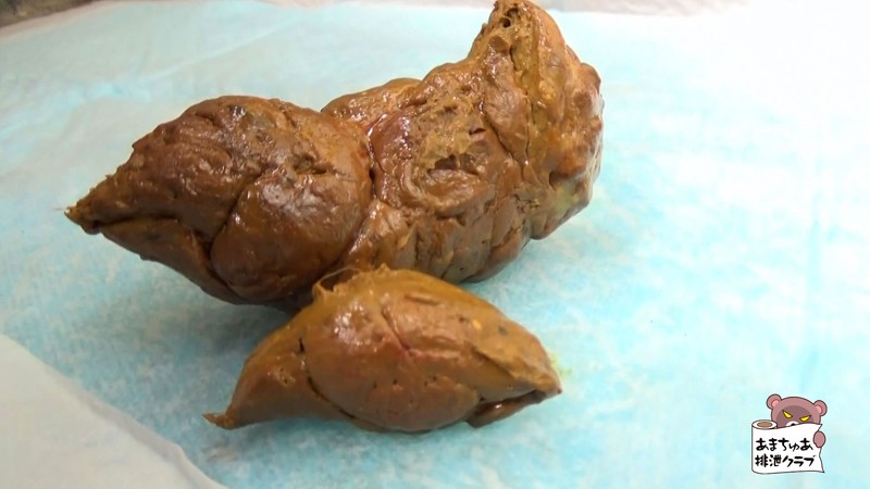 サンプル画像 15