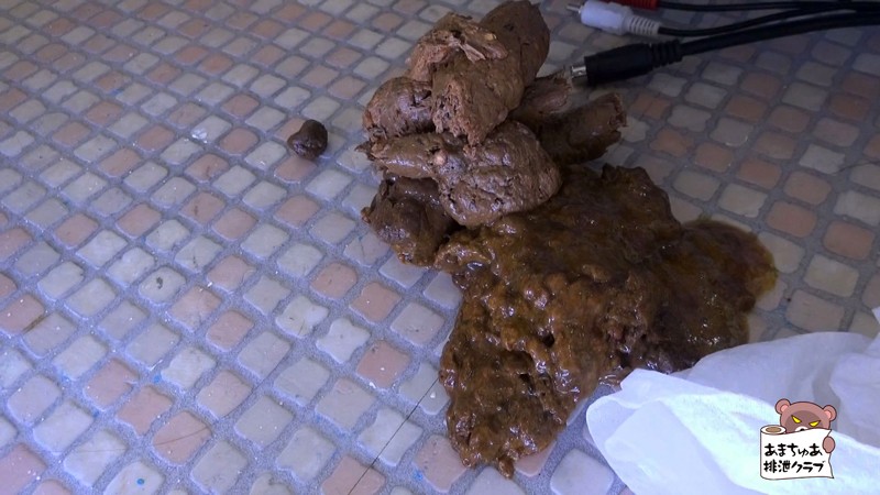 サンプル画像 11