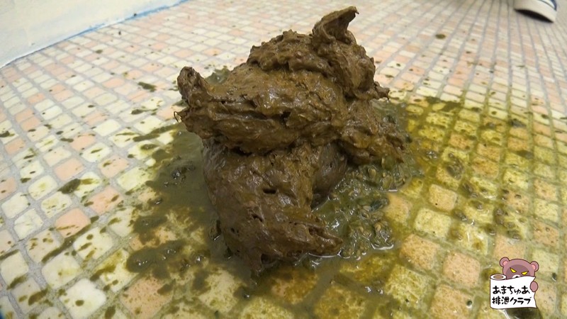 サンプル画像 12