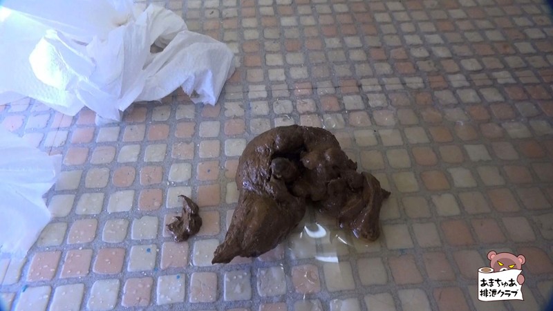 サンプル画像 5