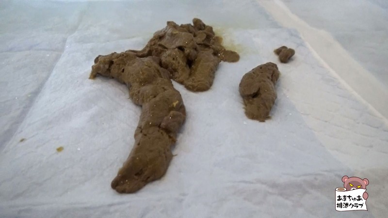 サンプル画像 16