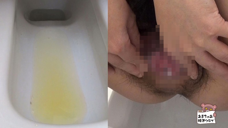 サンプル画像 16