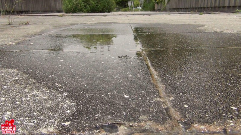 サンプル画像 5