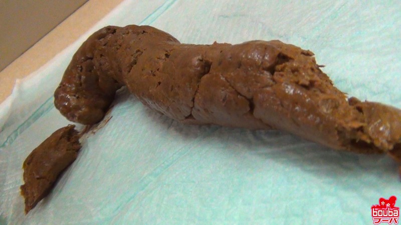 サンプル画像 16