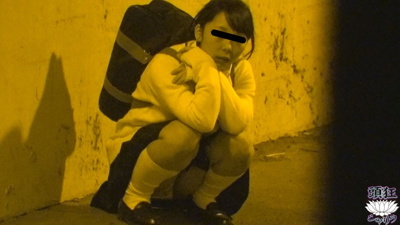 サンプル画像 12