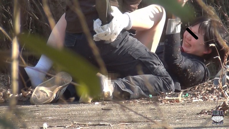 サンプル画像 14