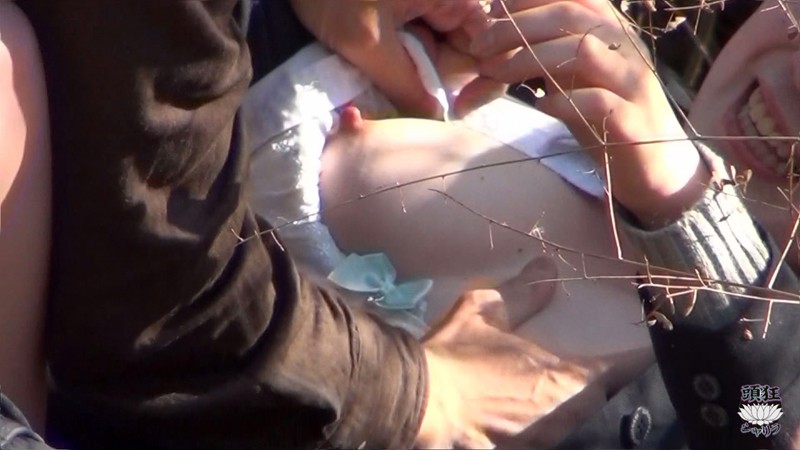 サンプル画像 15