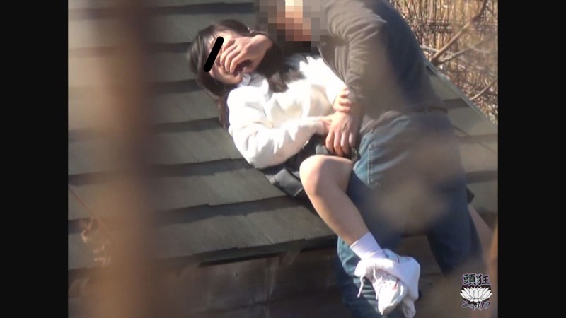 サンプル画像 9