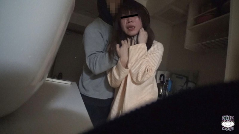 サンプル画像 4