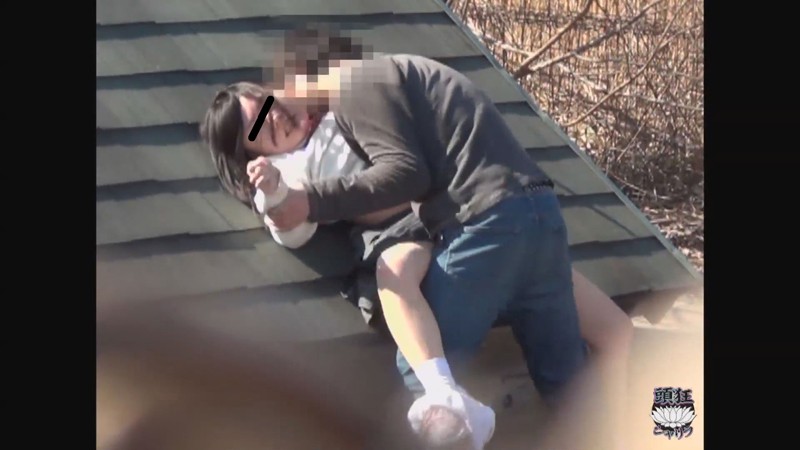 サンプル画像 6