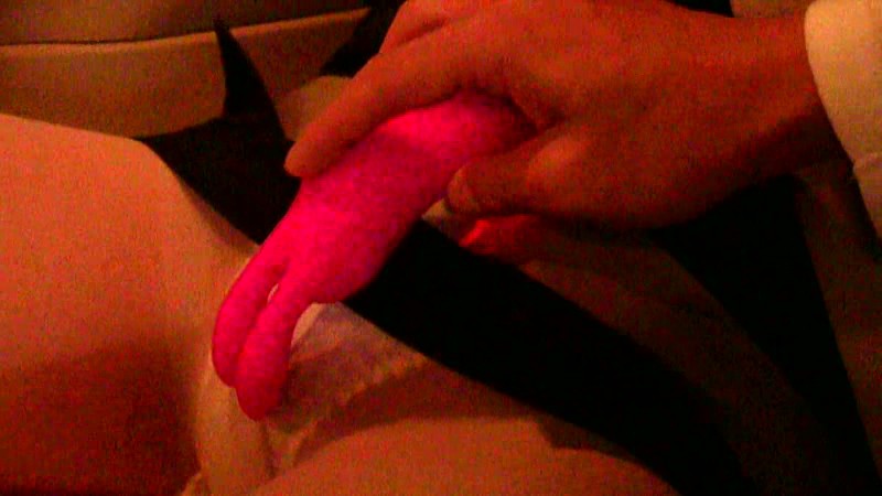 サンプル画像 3