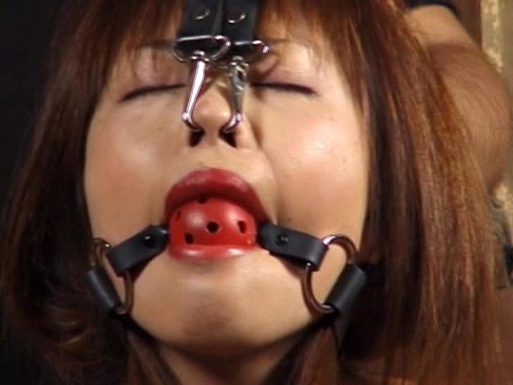 サンプル画像 13