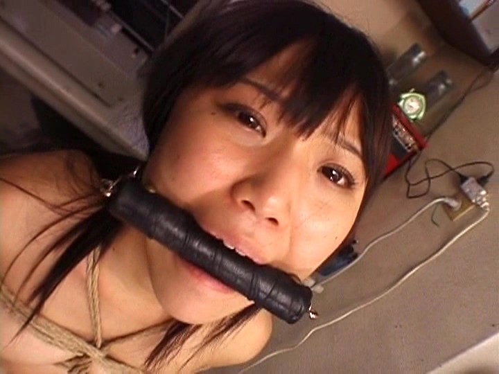 サンプル画像 8