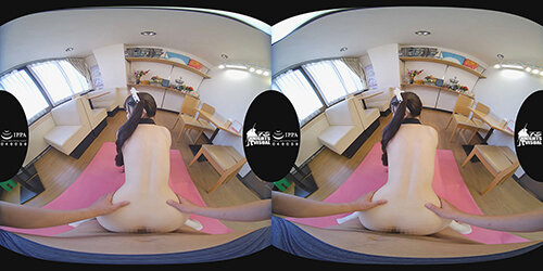 サンプル画像 12