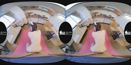 サンプル画像 16