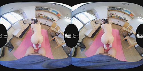 サンプル画像 17