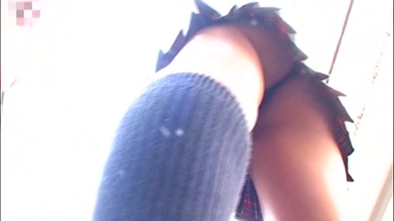 サンプル画像 6